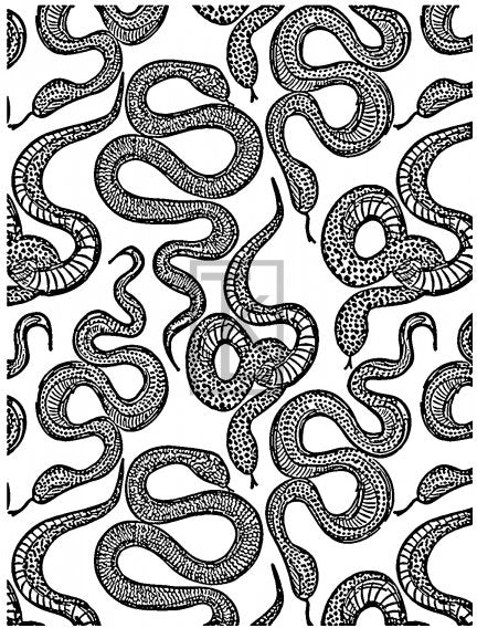 Slithering Snakes Silkscreen | Animal Print Stencil -