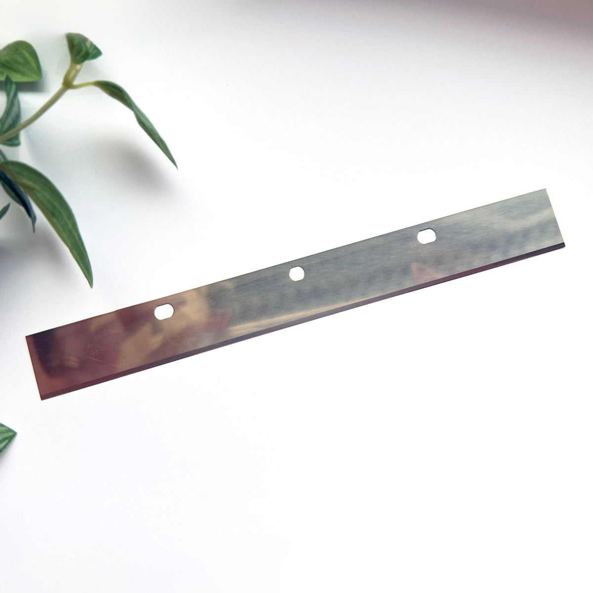 A long metal blade strip, photographed diagonally on a white background with a small green plant visible in the upper left corner.