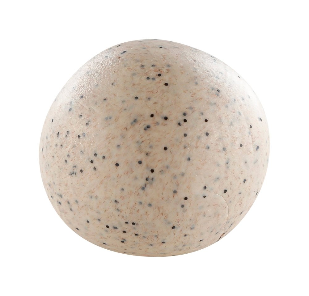 Cernit Polymer Clay 56g | Nature - 971 Savanna -