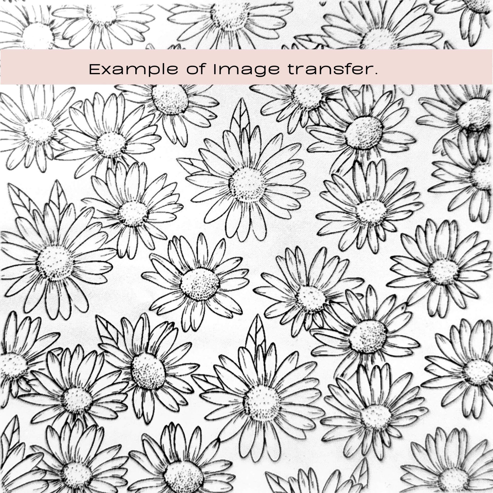 Pattern of black and white daisy flowers with a pink text box at the top saying example of image transfer. Silkscreen stencil to be used with polymer clay and cake making.