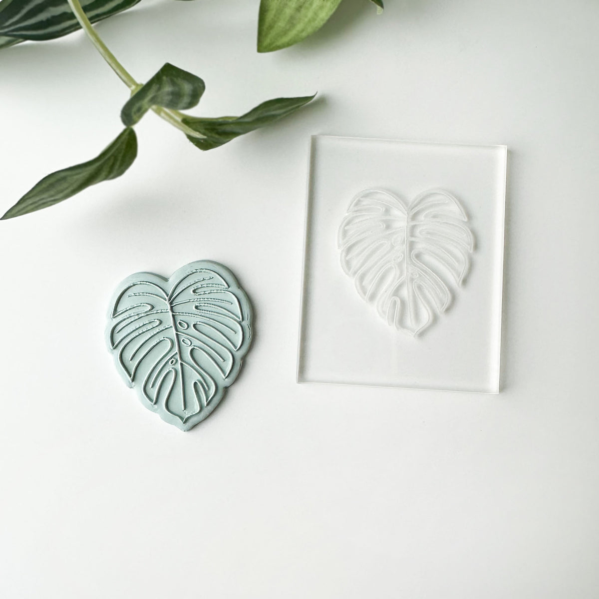 A mint green leaf-shaped impression from the clear acrylic block matching leaf design, displayed on a clean white surface with green leaves in the background.