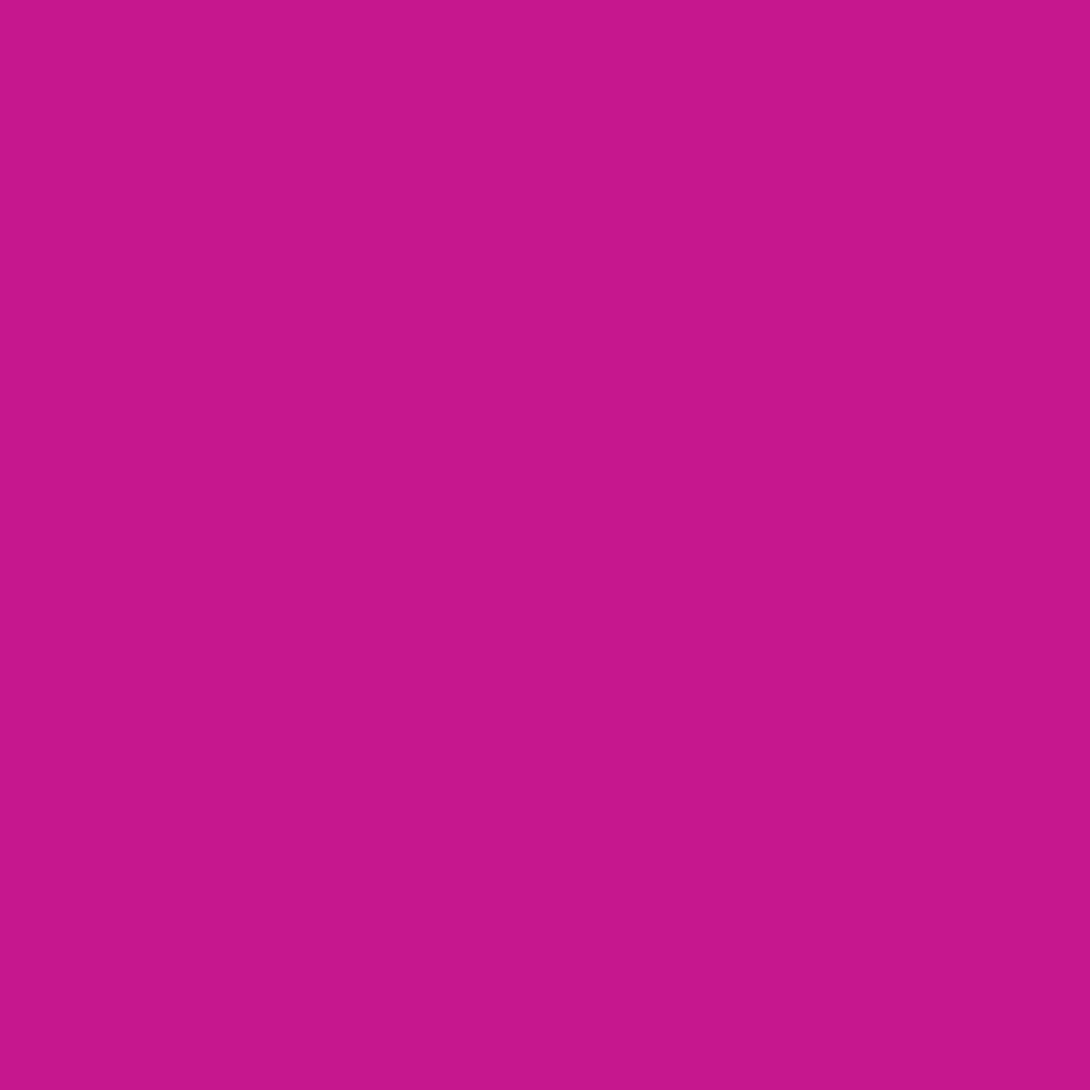 Sculpey Premo Polymer Clay | 57g - 5504 Fuchsia - 