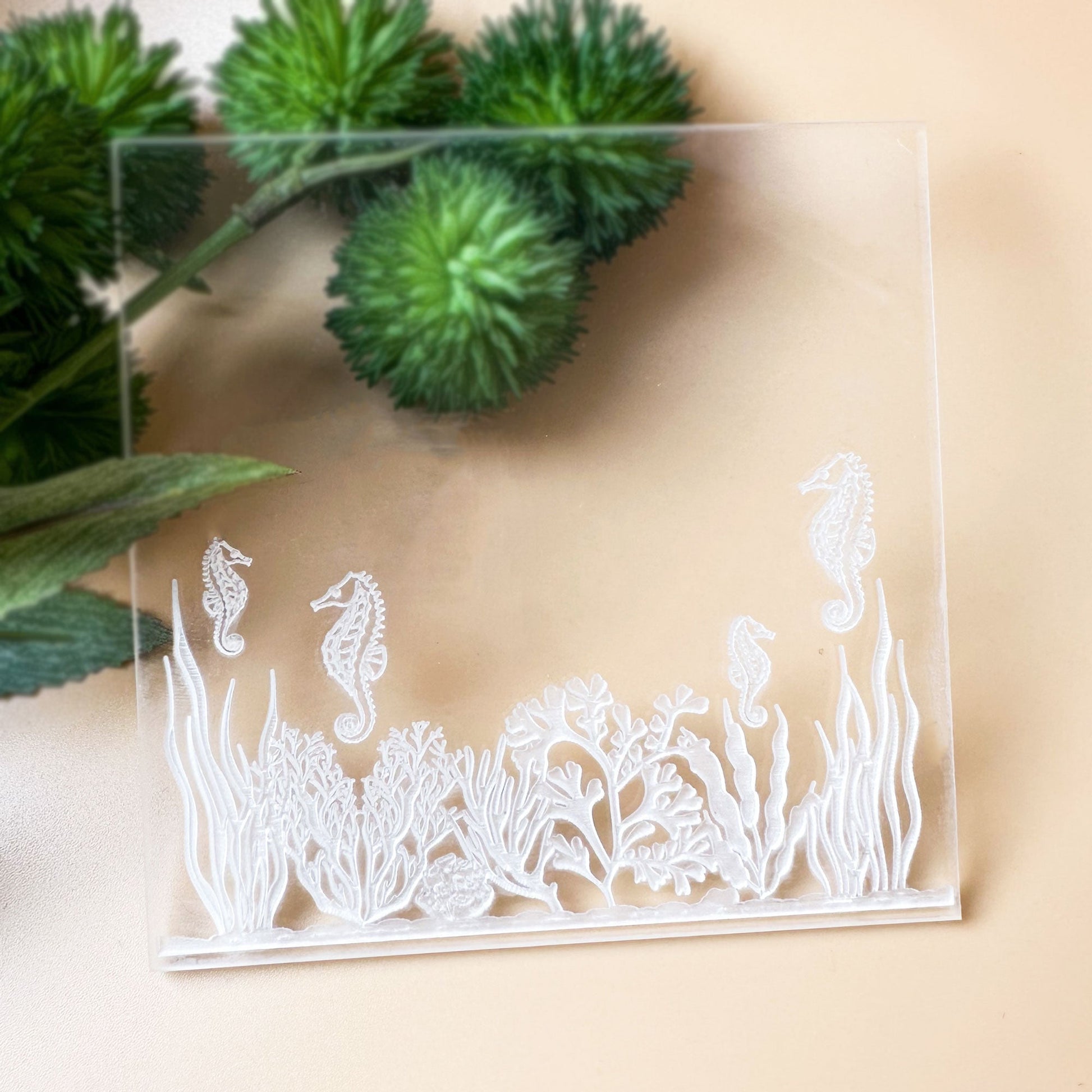Seahorse Reef Texture Stamp | Clear Acrylic Stamping Plate for polymer clay